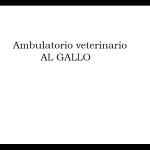 ambulatorio-veterinario-al-gallo