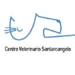 centro-veterinario-santarcangelo