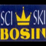bosin-ski