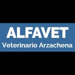 alfavet-ambulatorio-veterinario