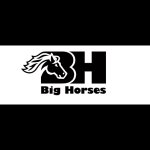 big-horses-di-bologna-barbara