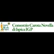 consorzio-della-carota-novella-di-ispica-igp