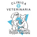 clinica-veterinaria-poggio-torriana