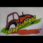 colapicchioni-srl