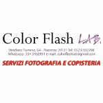 color-flash-lab