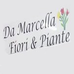 da-marcella-fiori-e-piante