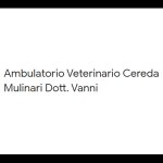 ambulatorio-veterinario-buonconvet