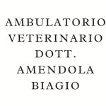 dott-amendola-biagio