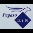 d-d-pegaso-moving-internazional-logistica-s-r-l-s