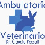 ambulatorio-veterinario-peccati-dr-claudio