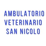 ambulatorio-veterinario-s-nicolo