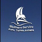 escursioni-asinara-gite-in-barca-blu-mare-service