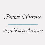 consult-service-di-fabrizio-arrigucci-e-c