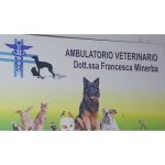 ambulatorio-veterinario-dott-ssa-francesca-minerba