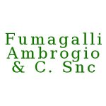 fumagalli-ambrogio-c