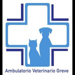 ambulatorio-veterinario-greve