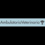 ambulatorio-veterinario-saccolongo