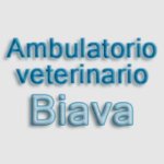 ambulatorio-veterinario-biava