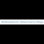 ambulatorio-veterinario-maja