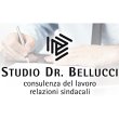 dott-bellucci-stefano