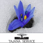 tajana-service-sas