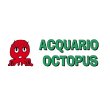 acquario-octopus