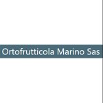 ortofrutticola-marino-sas
