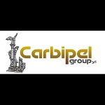 carbipel-group