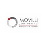 imovilli-consulting