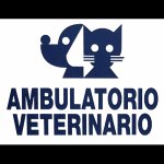 ambulatorio-veterinario-trivignano