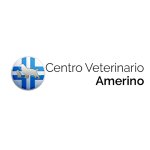 ambulatorio-medico-veterinario-dr-persichetti-piero