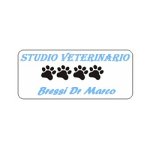 ambulatorio-veterinario-bressi