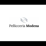 pellicceria-modena