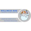 wellness-dog
