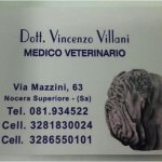 centro-medico-veterinario-villani-dr-vincenzo