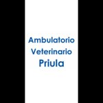 ambulatorio-veterinario-priula