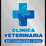clinica-veterinaria-dott-andolina-dott-di-gesu
