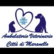 ambulatorio-veterinario-campani-muzzi-lei