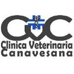 clinica-veterinaria-canavesana