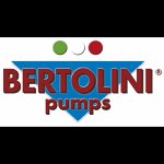 bertolini-pumps