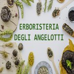 erboristeria-degli-angelotti