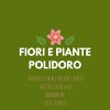 fiori-e-piante-articoli-da-regalo-polidoro