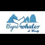 capri-whales