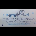 clinica-veterinaria-citta-di-catanzaro