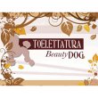 toelettatura-beauty-dog