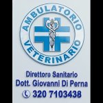 ambulatorio-veterinario-dr-giovanni-di-perna