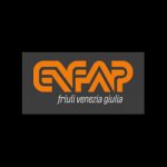 enfap-fvg---comitato-regionale-dell-enfap-del-friuli-venezia-giulia