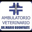 buonfrate-dr-mario-veterinario