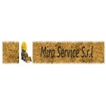 mira-service