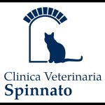 clinica-veterinaria-spinnato